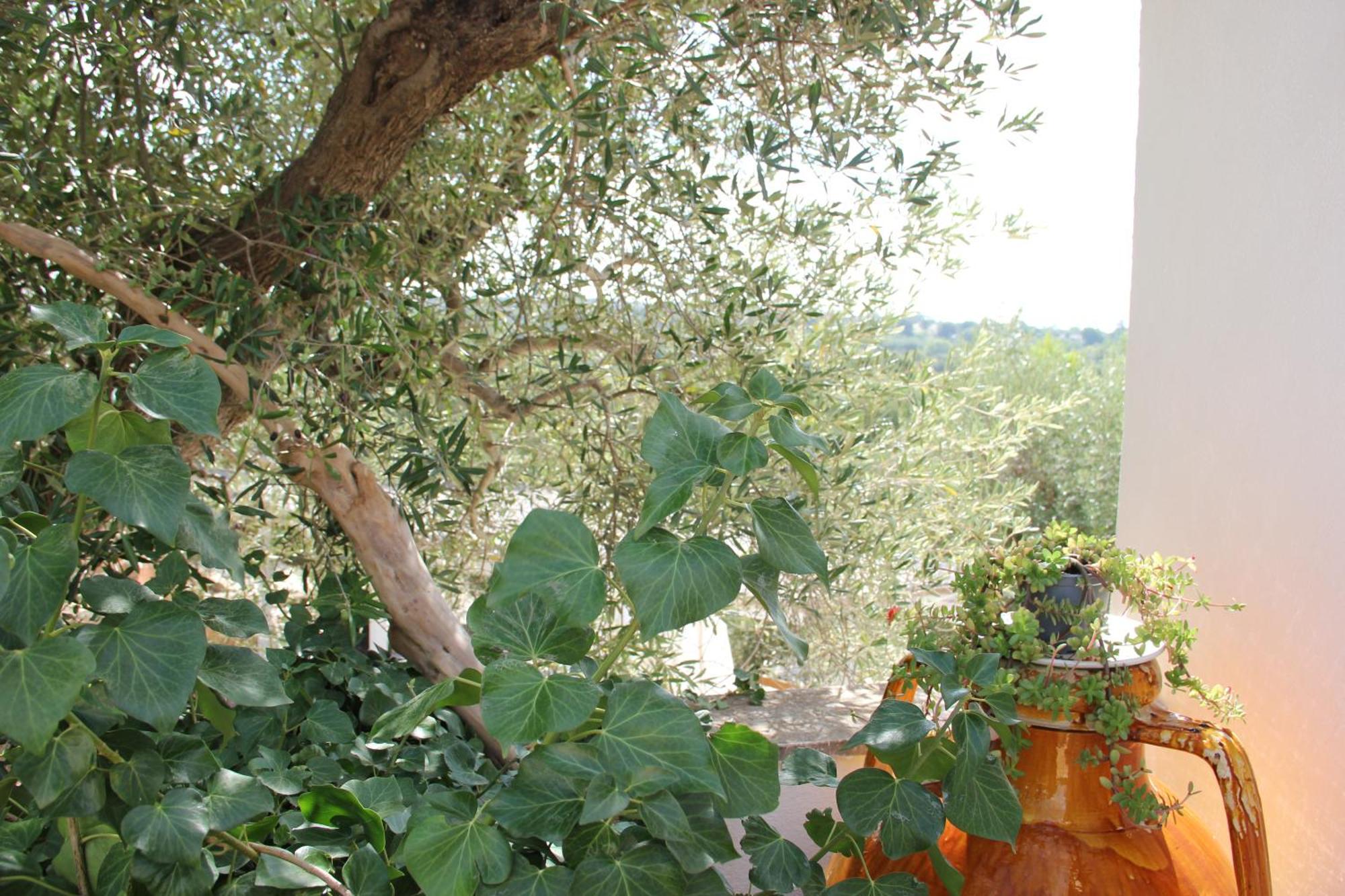 Apartmán Le Terrazze Della Crianza Ostuni Exteriér fotografie